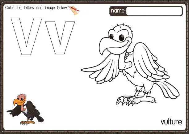 Vector illustration of Vector illustration of kids alphabet coloring book page with outlined clip art to color. Letter V for Vulture.