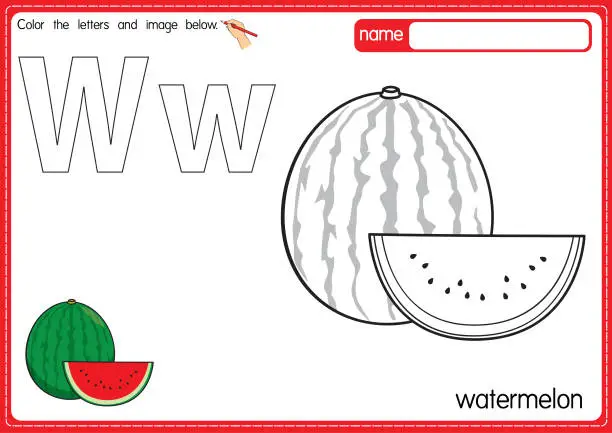 Vector illustration of Vector illustration of kids alphabet coloring book page with outlined clip art to color. Letter W for Watermelon.