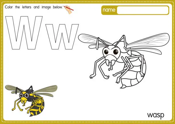Vector illustration of Vector illustration of kids alphabet coloring book page with outlined clip art to color. Letter W for Wasp.