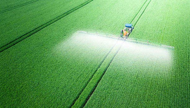 Application of water-soluble fertilizers, pesticides or herbicides in the field. View from the drone. The tractor applies herbicides, pesticides or fertilizers to the green field. insecticide stock pictures, royalty-free photos & images