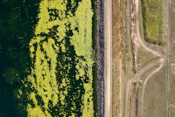 istock Aerial Landscape 1329311617