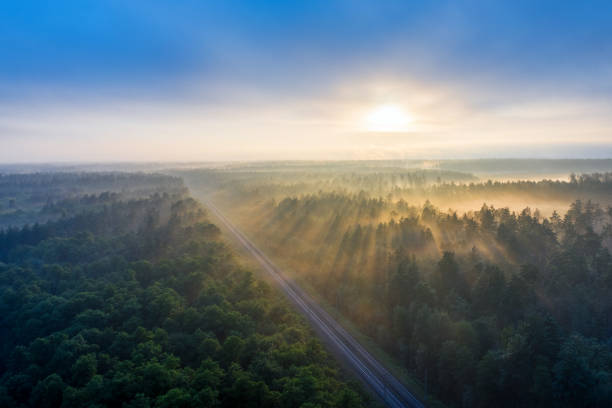istock Railway in the summer morning forest at dawn. 1329311712