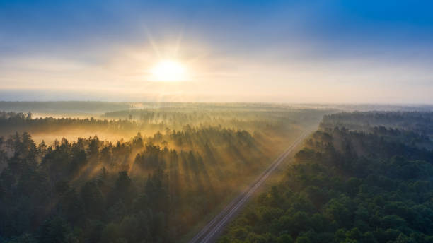 istock Railway in the summer morning forest at dawn. 1329311713