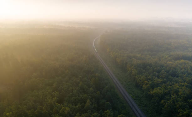 istock A freight train travels through a foggy forest. 1329311720