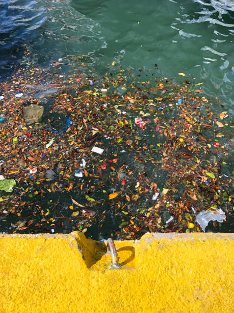 istock Water pollution in the port 1329312738