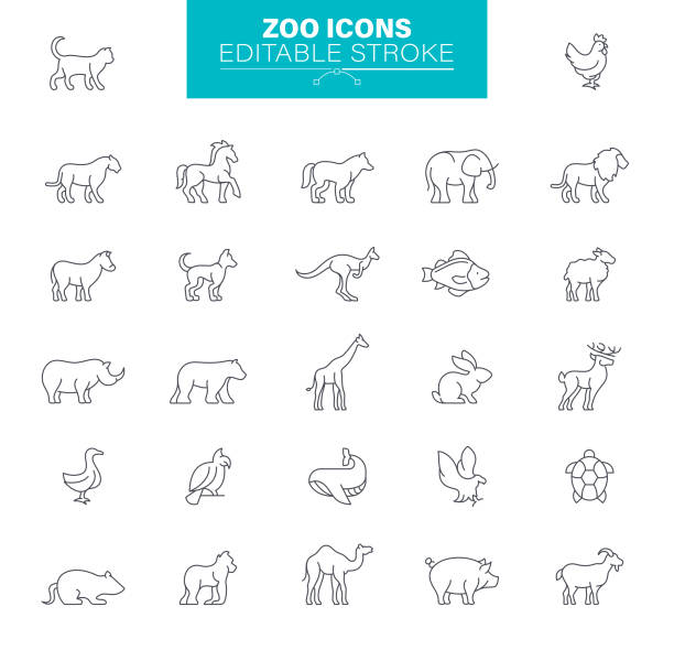 Zoo Icons. Set contains symbol as Animal, Turtle, Sea Animals, Lion, Illustration Wildlife, Pets, Polar Bear, Monkey, Gorilla, Animal, Editable Icon Set arctic fox stock illustrations