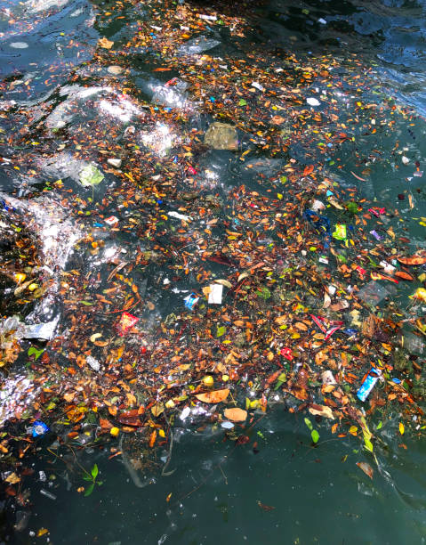istock Water pollution in the port 1329315584