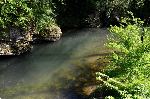istock landscape of a clean green river 1329315589