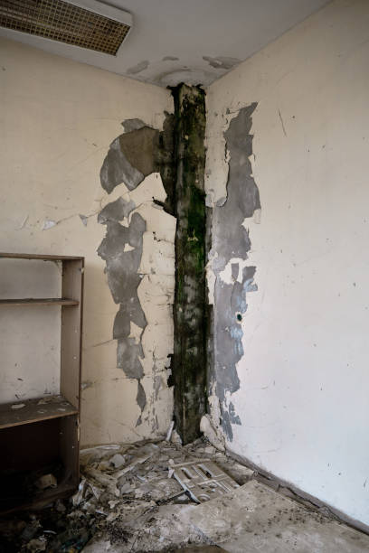 istock Old abandoned and brownfield soviet type school in Bulgaria 1329320096