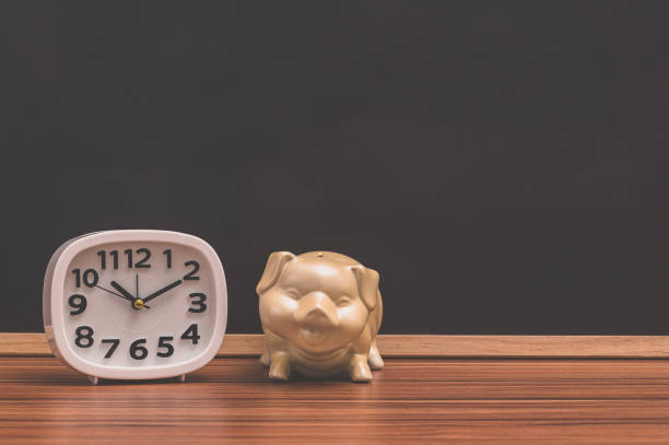 istock Watch and pig savings money concept 1329321695