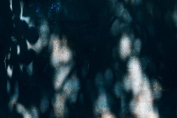 istock Abstract, dark scary mysterious abstract background in horror style with strange light and night ghostly blue shadows of trees on the concrete wall of an old house inducing a feeling of fear 1329327124