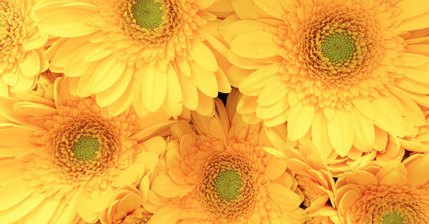 istock Flower arrangement floral bouquet 1329327693