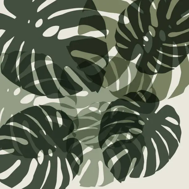 Vector illustration of Monstera deliciosa tropical leaf background