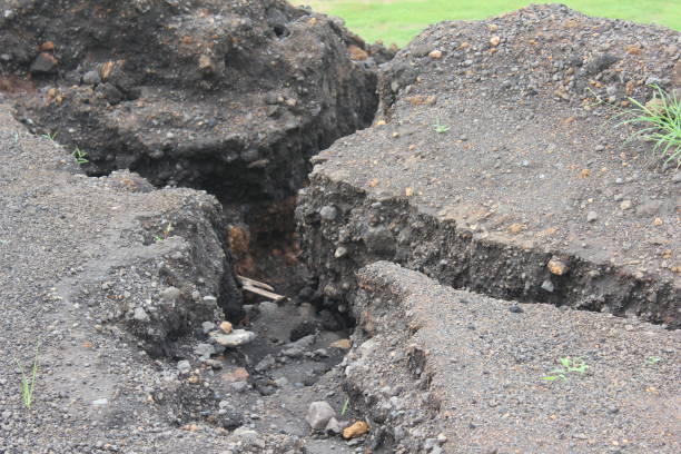 istock sandy and gravel soil 1329328923