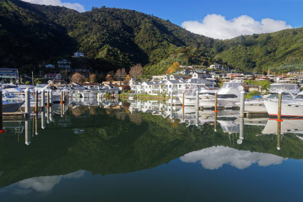 The marina at Picton with reflection, Marlborough Sounds, New Zealand. Picton Marina at high tide and early in the morning reflected in the still water, south island, New Zealand. picton new zealand stock pictures, royalty-free photos & images