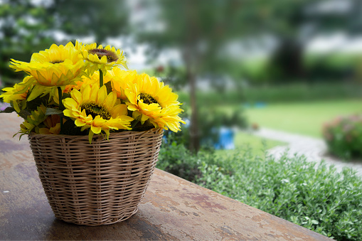 Beautiful artificial sunflower made from cloth in wicker basket.