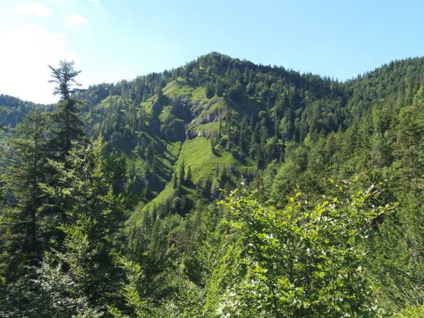 istock Green mountains in Bavaria 1329337798