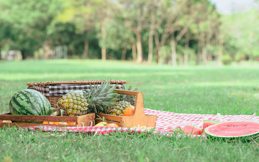 Background, Portrait and close up of basket with fruits, watermelon, pineapples for picnic in outdoor backyard, green field, park, garden with nobody and blank copy space for advertisement