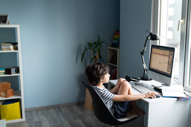 istock Elementary Schoolboy Homeschooling In Living Room 1329341007