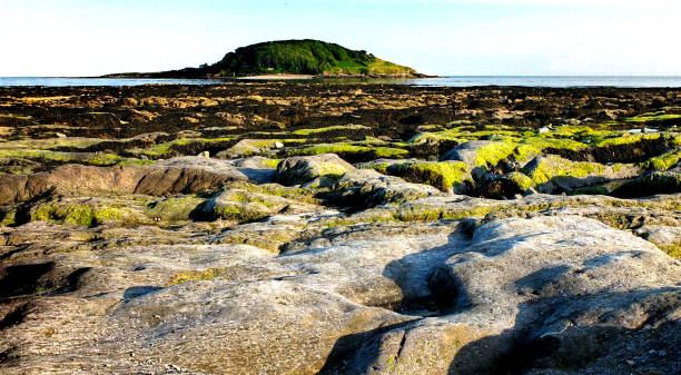 Evening views looking out to Looe (St Georges) Island, Cornwall, UK