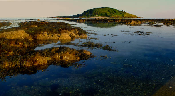 istock Evening views looking out to Looe (St Georges) Island, Cornwall, UK 1329341671
