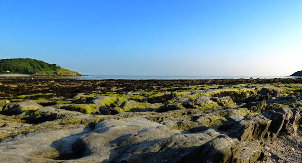 istock Evening views looking out to Looe (St Georges) Island, Cornwall, UK 1329343117