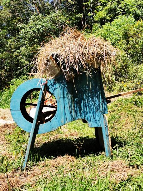 istock Traditional fan machines for cleaning rice paji 1329345143