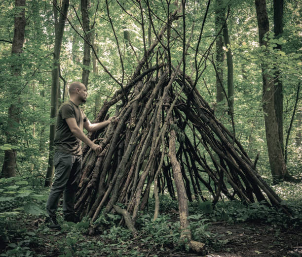 森の中にサバイバルシェルターを建てる男。木の枝から森の中に避難。 - 生存 ストックフォトと画像