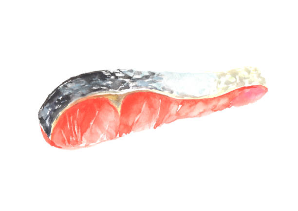 istock Illustration of raw salmon fillet drawn in watercolor 1329355844