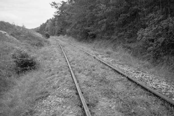 istock A bridge over an abandoned railway. Summer green grass 1329357066