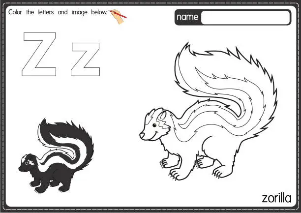 Vector illustration of Vector illustration of kids alphabet coloring book page with outlined clip art to color. Letter Z for Zorilla.