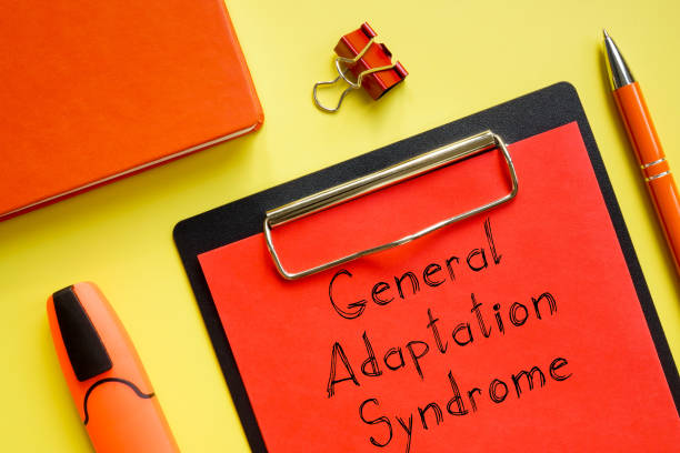 istock General adaptation syndrome is shown on the business photo using the text 1329366430