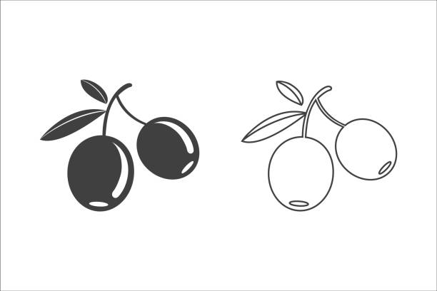 illustrations, cliparts, dessins animés et icônes de jeu d’icônes olive plat. illustration vectorielle - olive vegetarian food abstract antioxidant