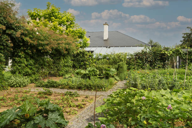 istock A beautifully manicured vegetable garden 1329370936