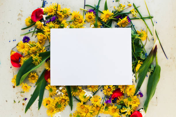 istock Floral template empty white paper mockup, blank sheet 1329371675
