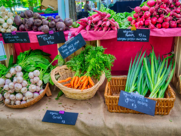 ortaggi a radice al mercato contadino - farmers market agricultural fair agriculture beet foto e immagini stock