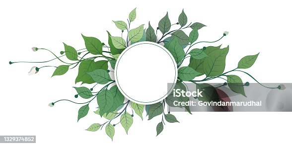 istock Vector banners set with green leaves on white background. Exotic botanical design for cosmetics, perfume, beauty salon, travel agency, florist shop. Best as wedding invitation cards 1329374852