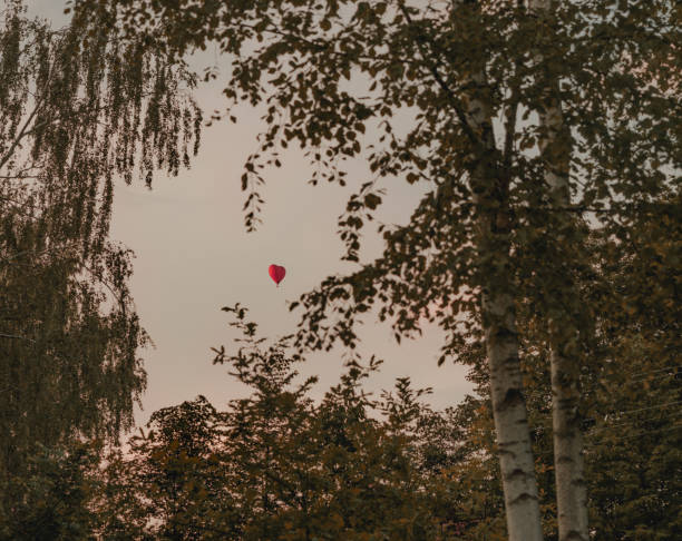 balon w kształcie serca na niebie w pobliżu zachodu słońca - spy balloon zdjęcia i obrazy z banku zdjęć