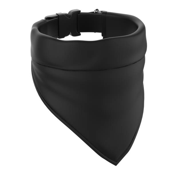 Blank Pet Bandana and Collar For Mockup.