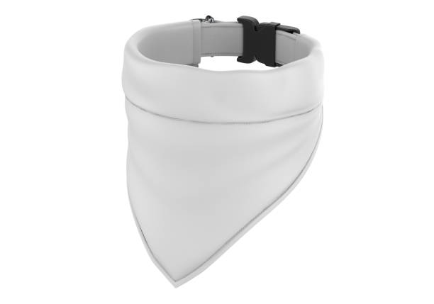 istock Blank Pet Bandana and Collar For Mockup. 1329380446