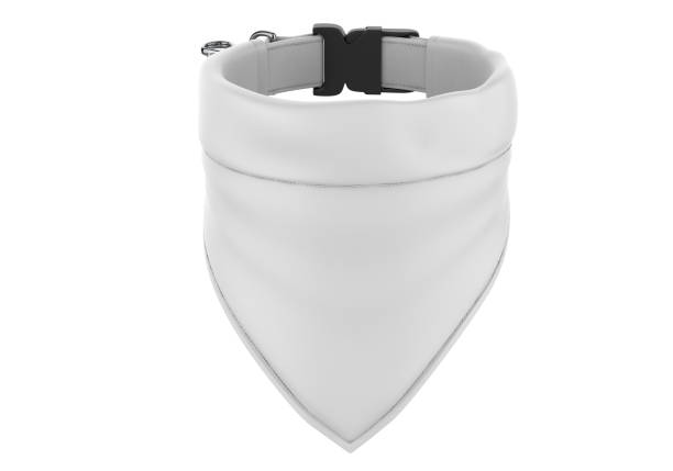 istock Blank Pet Bandana and Collar For Mockup. 1329380448