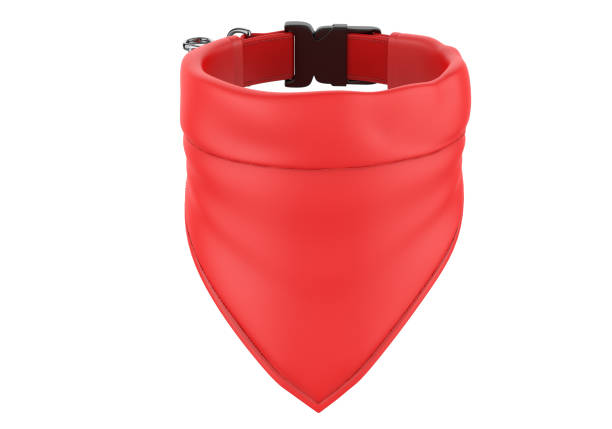 Blank Pet Red Bandana and Collar For Mockup.