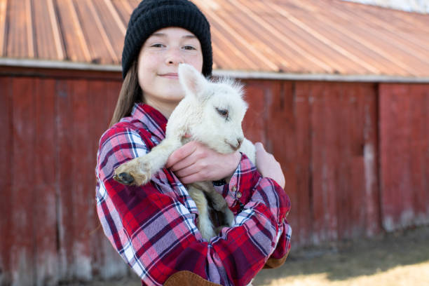 istock Young Girl Holds a Baby Lamb 1329381463