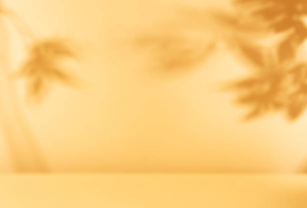 istock Autumn blurred background with shadow of the tree branches on a wall. 1329382438