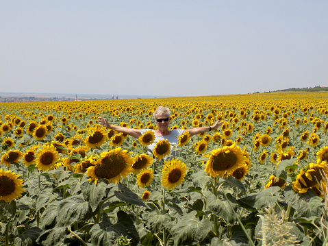 Lady in a sunflower field