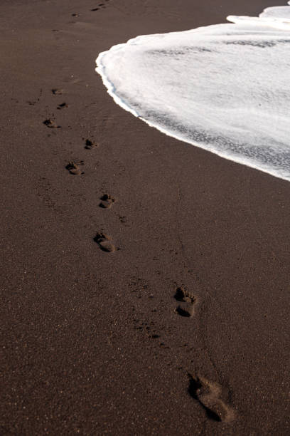 istock Waves of the ocean over black sand beach 1329386704