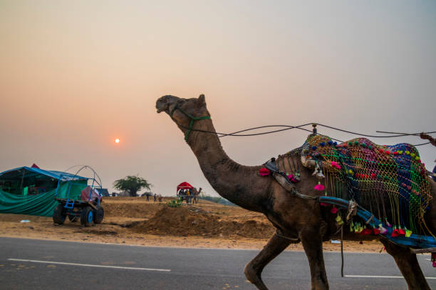 istock Various views of Pushkar in Rajasthan 1329387609