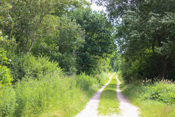 istock Nature East Frisia 1329387878