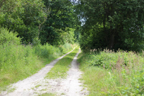 istock Nature East Frisia 1329387895