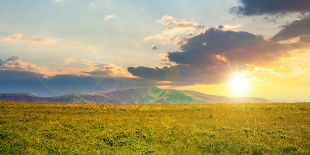istock alpine mountain meadow in summer at sunset 1329393154